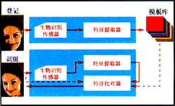 人脸识别<a href=http://www.safechk.com target=_blank class=infotextkey>安检</a>门