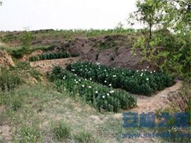 公安缉毒无人机2.jpg