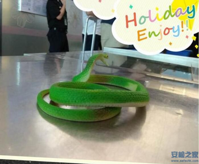 假蛇