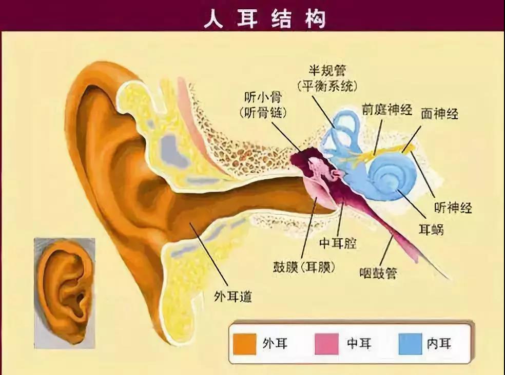 微信图片_20191202100001.jpg