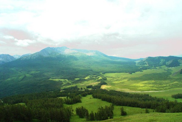 青河农贸市场整车通过式<a href=http://www.safechk.com target=_blank class=infotextkey>安检</a>门模块化组装图像清晰