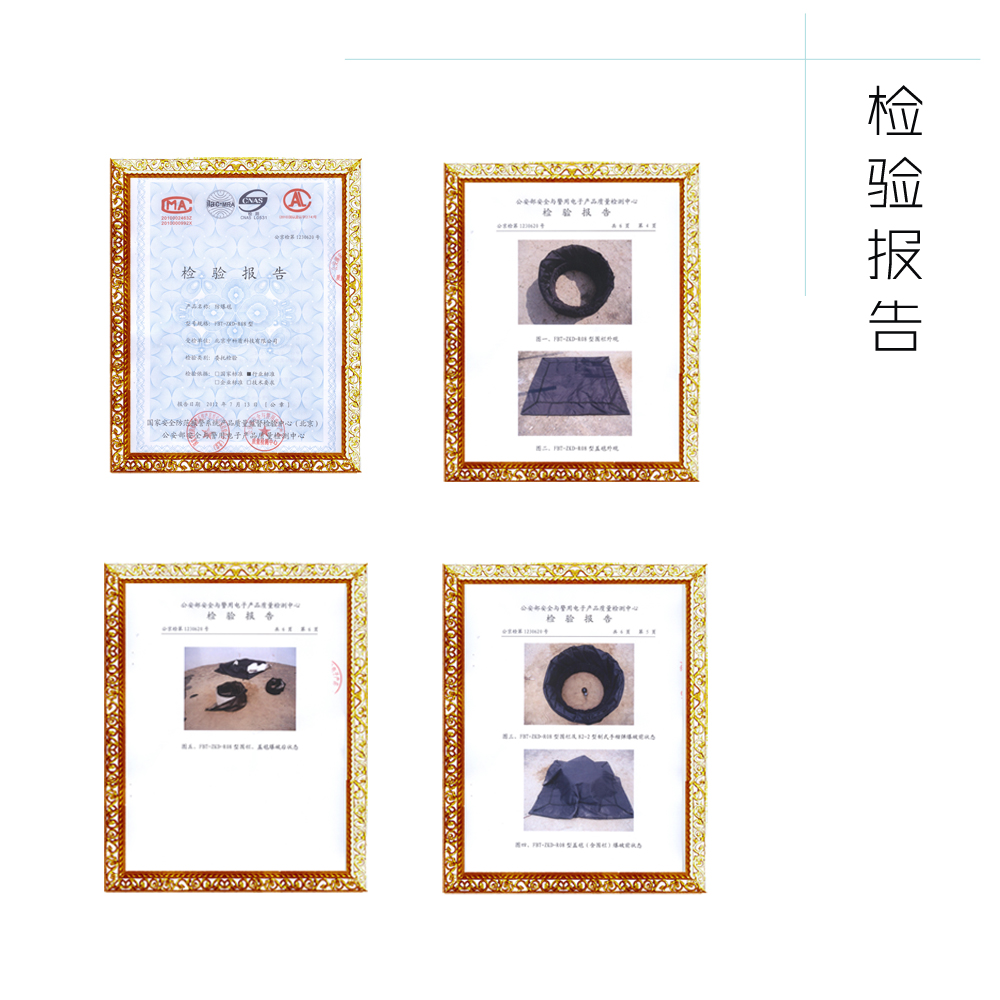 检验报告.jpg
