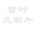 金属探测器 &nbsp;型]