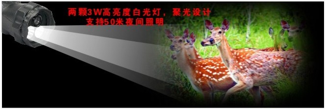 两颗白光灯.jpg